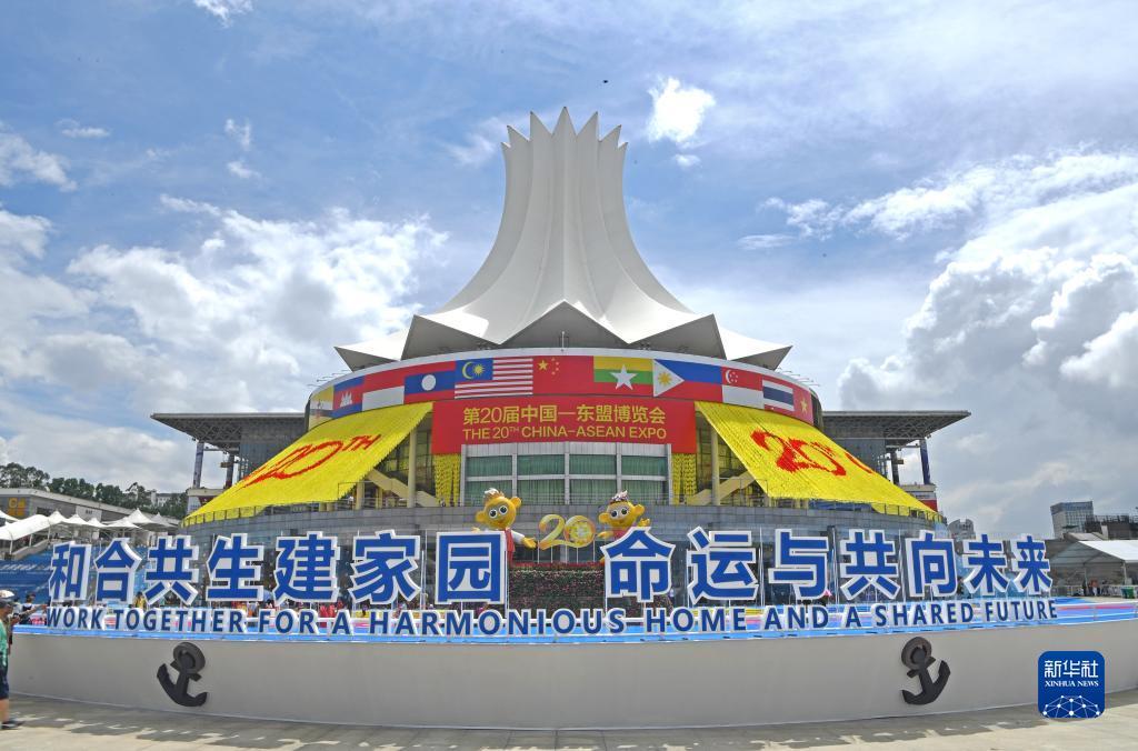打牌网官网网站